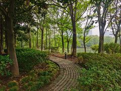 -白塘生态植物园