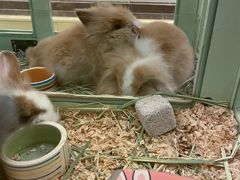 -龙猫仔乐园(惠福东路店)