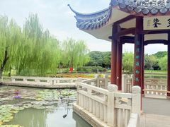 -江心屿景区