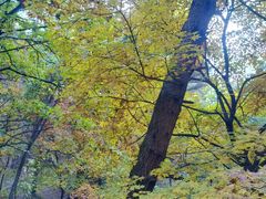 -帽儿山国家森林公园