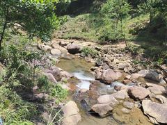 -广州白江湖森林公园