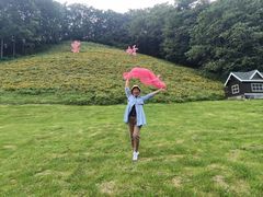 -云岭野山参风景区