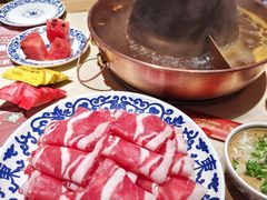 -东镇老火锅(长春路首店)