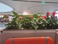 -全牛匠·乐山跷脚牛肉(西北旺万象汇店)