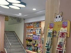 -天使宠物医院·犬猫分诊(彩虹店)