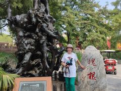 -大槐树寻根祭祖园