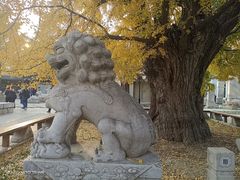 -北京石刻艺术博物馆(五塔寺)
