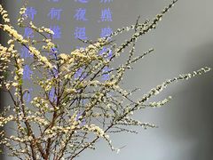-沈灶河豚宴·河豚融合餐厅(汉中路店)