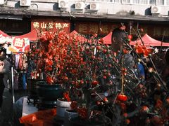 -文华公园(禅城区)