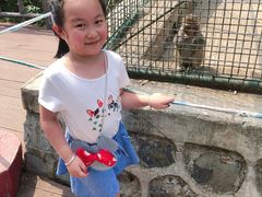 -南京金牛湖风景区