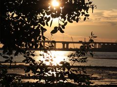 -宝安西湾红树林湿地公园