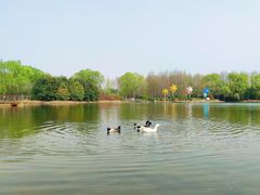 -郑州植物园