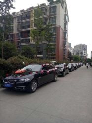 -蚂蚁婚车