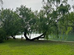 -黄河小浪底水利枢纽风景区