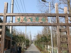 -上海长兴岛郊野公园