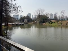-月湖风景区