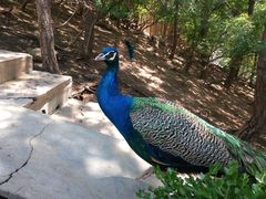 -燕塞湖鸟语林景区