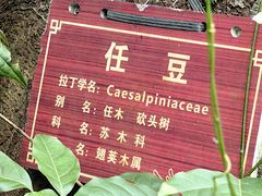 -牛角寨瀑布景区