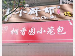-桐香园小笼包(百井坊巷店)