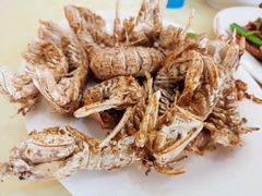 -波记美食店·现捞海鲜