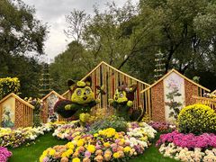 -上海共青森林公园