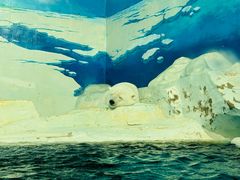 -海合安天津极地海洋公园