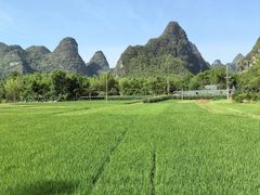 -明仕田园
