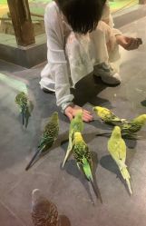 -酷嗒动物文化乐园(cutezoo西溪乐天城店)