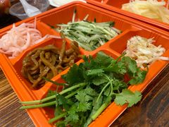 -杨姨妈丝娃娃(花果园店)