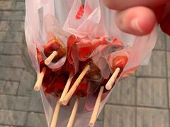 -和禄德冰糖葫芦
