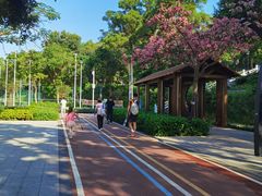 -炮台山公园