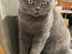 -ID.PHOTO照相馆(嘉里企业中心店)