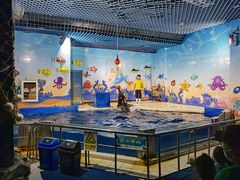 -太平洋海底世界