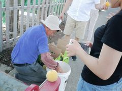 -小六农家乐(崇明西沙湿地店)