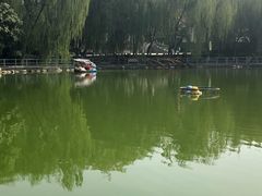 -莲湖公园
