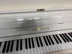 -弘智卉艺术教育/高端琴房(中央音乐学院店)