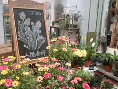 -武汉花鸟市场