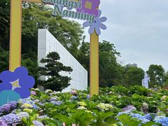 -广西壮族自治区药用植物园
