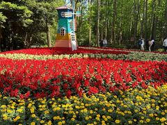 -上海共青森林公园