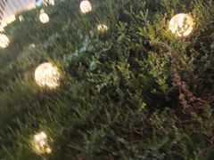 -阿卡贝拉音乐汇(印象城店)