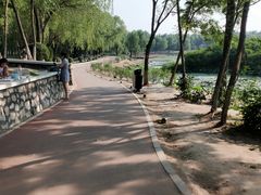 -丁香湖公园
