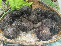 -港畔赶海蒸汽海鲜烧烤自助(仙螺岛店)