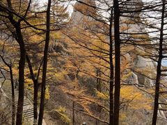 -崂山巨峰游览区