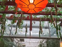 -春满园生态餐厅(南宫路店)