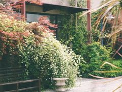 -Bamboo Today Cafe(国创园店)