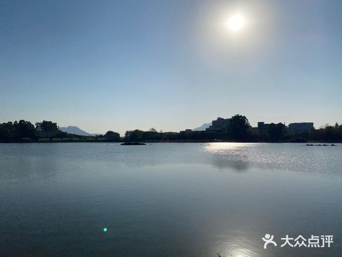松山湖南湖湾露营营地图片