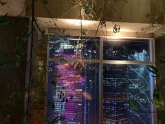 -广州富力君悦大酒店空中花园