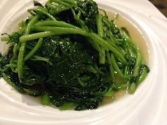 西洋菜-老广酒楼(樱花店)