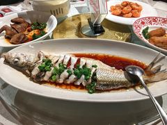 -金美华轩(东方路齐鲁店)