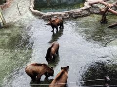 -深圳野生动物园
